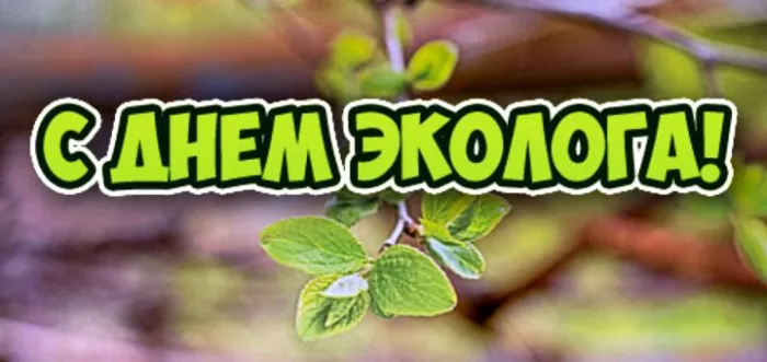 Картинки с Днем эколога (45 открыток). Картинки с надписями