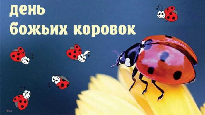Картинки с Днем божьих коровок (13 открыток). Картинки с надписями