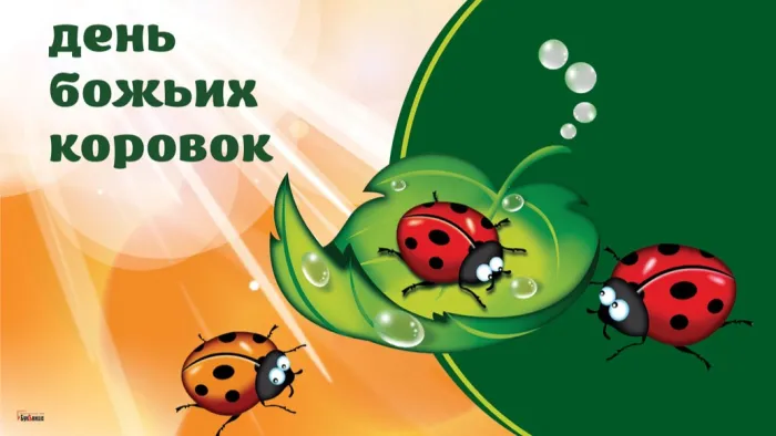 Картинки с Днем божьих коровок (13 открыток). Картинки с надписями