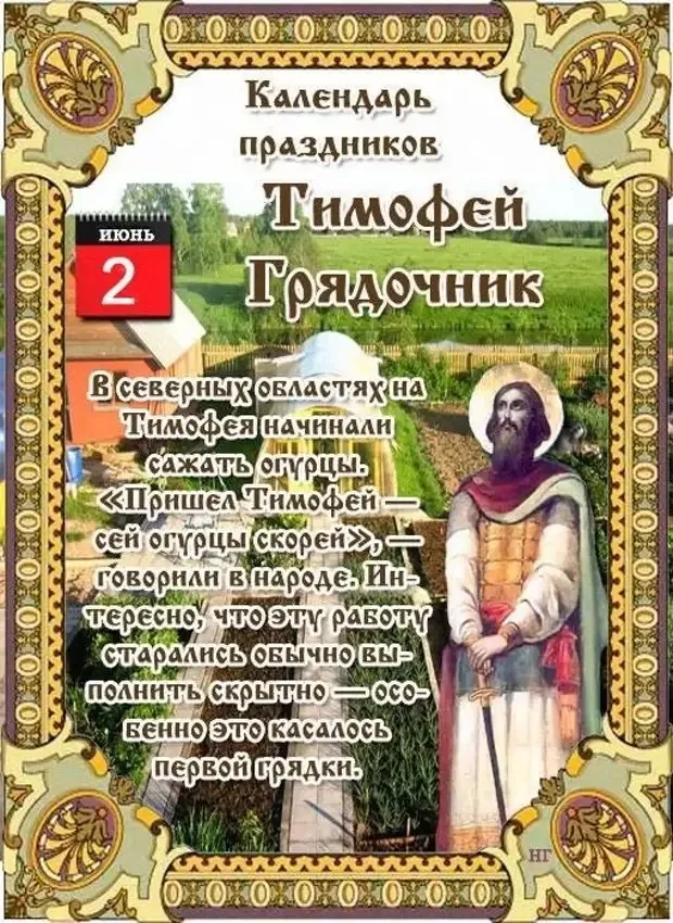 Картинки Тимофей Грядочник (18 открыток). Картинки с надписями