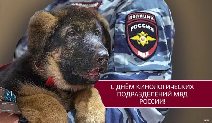Картинки с Днем кинологических подразделений МВД России (80 открыток). Картинки с надписями с Днём кинолога