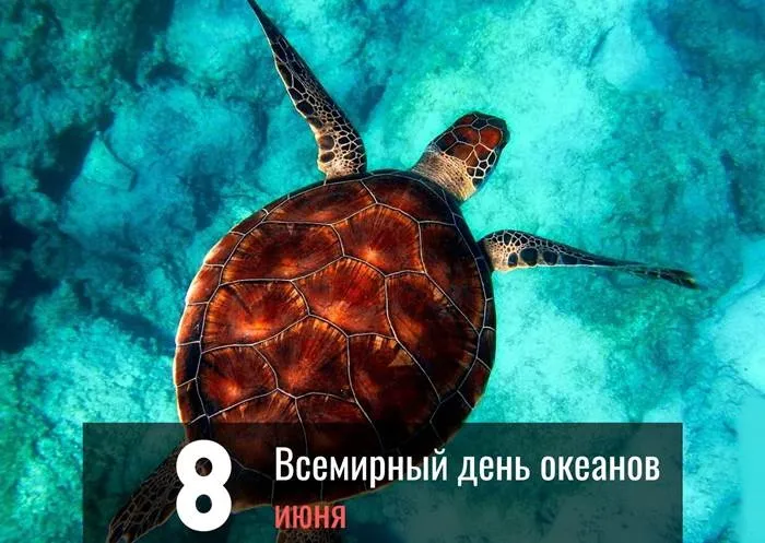 Картинки со Всемирным днем океанов (55 открыток). Красивые открытки