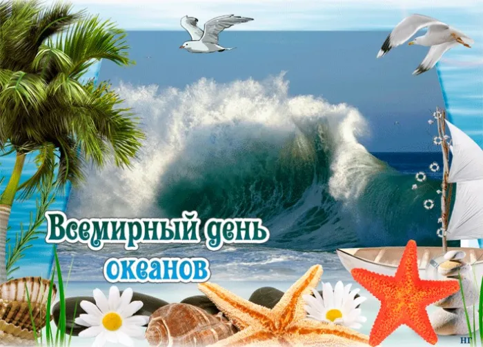 Картинки со Всемирным днем океанов (55 открыток). Красивые открытки
