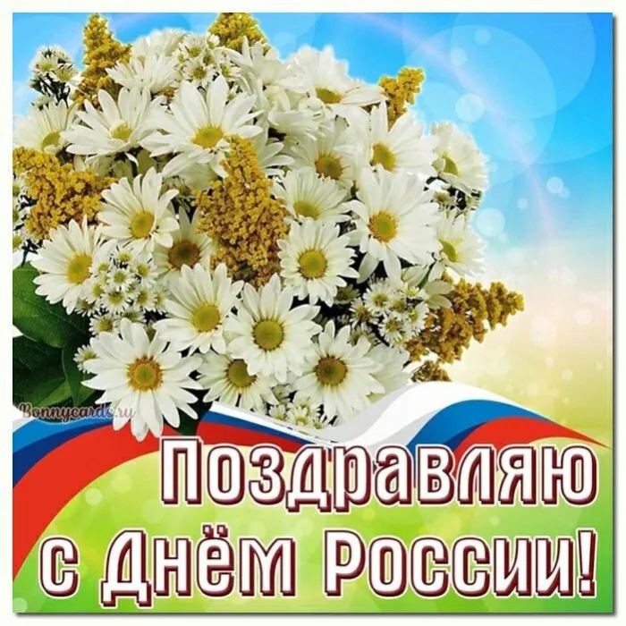 Открытки с Днем России (красивые и прикольные). Прикольные открытки с Днем России
