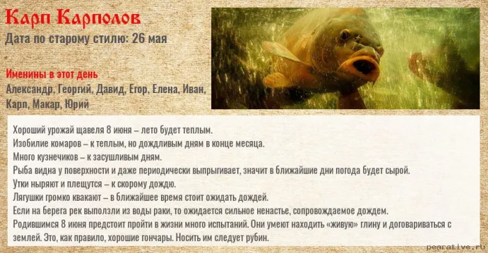 Картинки Карп Карполов (12 открыток). Картинки с надписями