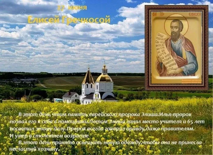 Картинки Елисей Гречкосей (16 открыток). Картинки с надписями