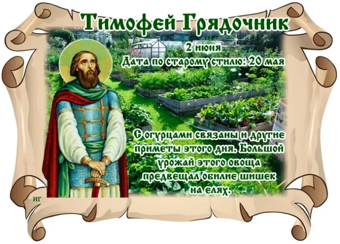 Картинки Тимофей Грядочник (18 открыток). Картинки с надписями