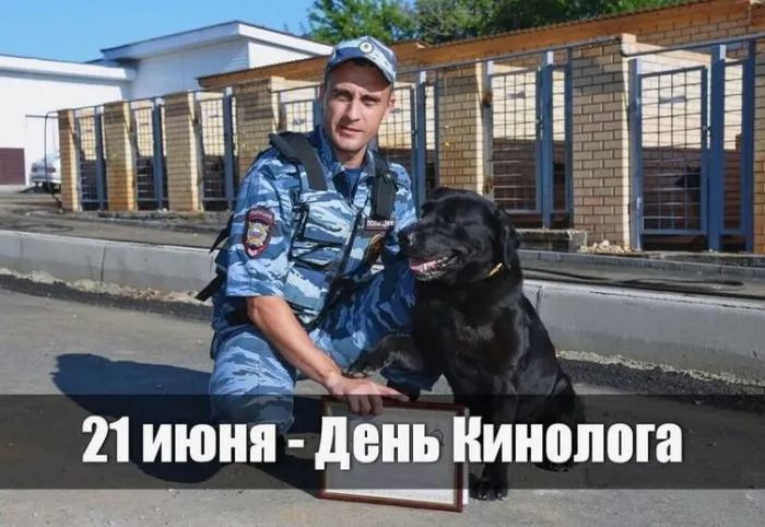 Картинки с Днем кинологических подразделений МВД России (80 открыток). Картинки с надписями с Днём кинолога