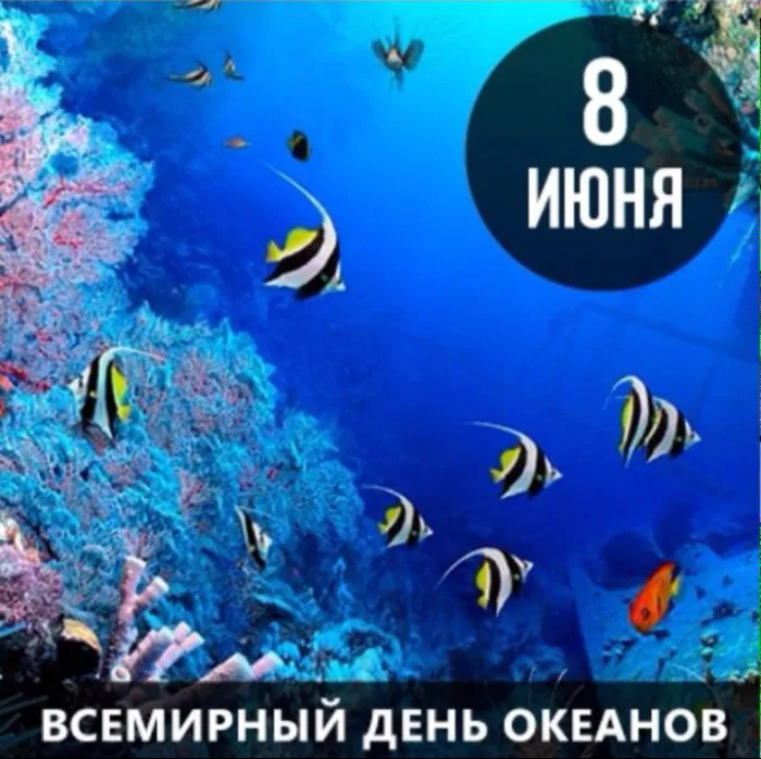 Картинки со Всемирным днем океанов (55 открыток). Красивые открытки