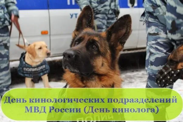 Картинки с Днем кинологических подразделений МВД России (80 открыток). Картинки с надписями с Днём кинолога