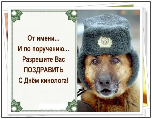 Картинки с Днем кинологических подразделений МВД России (80 открыток). Картинки с надписями с Днём кинолога
