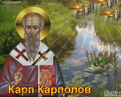 Картинки Карп Карполов (12 открыток). Картинки с надписями