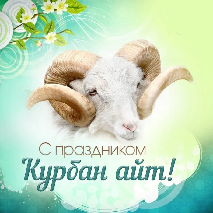 Картинки с праздником Курбан Байрам (160 открыток). Красивые картинки с надписями