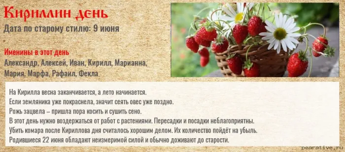 Картинки Кириллов день (23 открытки). Картинки с надписями на Кириллин день