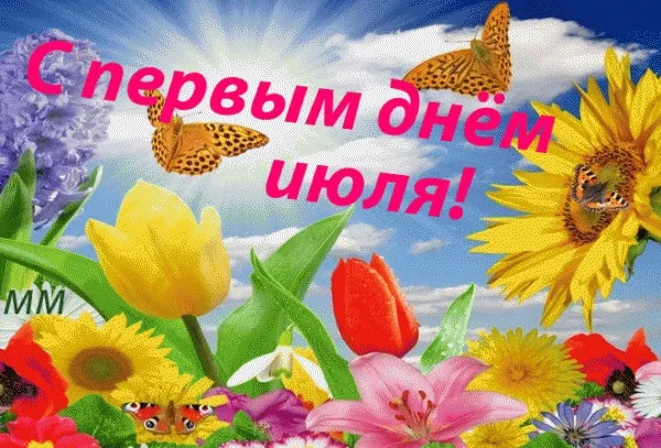 Картинки с первым днем июля (75 открыток). Картинки с надписями