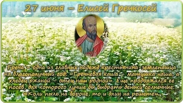 Картинки Елисей Гречкосей (16 открыток). Картинки с надписями