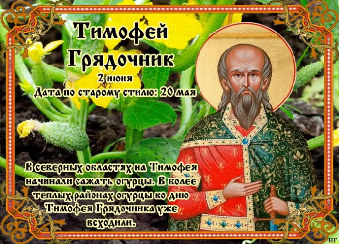 Картинки Тимофей Грядочник (18 открыток). Картинки с надписями