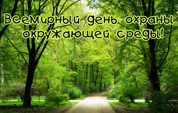 Картинки со Всемирным днем охраны окружающей среды (40 открыток). Красивые открытки