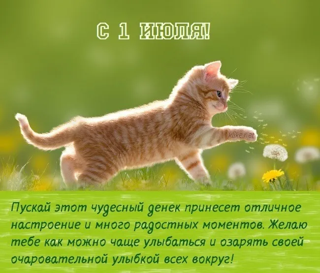 Картинки с первым днем июля (75 открыток). Картинки с надписями