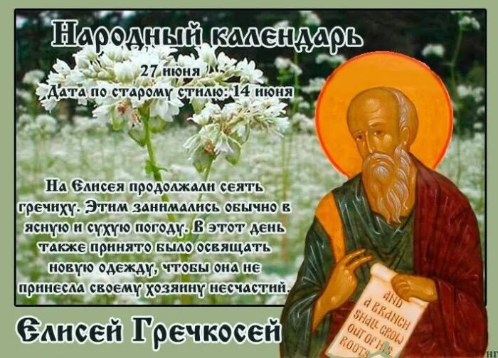 Картинки Елисей Гречкосей (16 открыток). Картинки с надписями