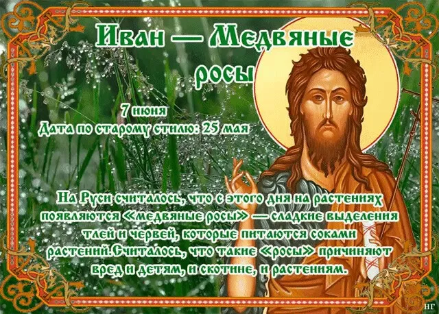 Картинки Иван – Медвяные росы (12 открыток). 