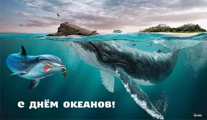 Картинки со Всемирным днем океанов (55 открыток). Красивые открытки