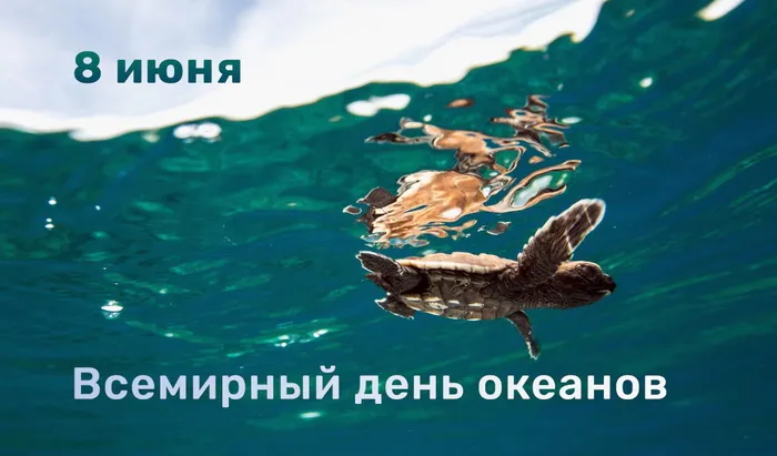 Картинки со Всемирным днем океанов (55 открыток). Красивые открытки