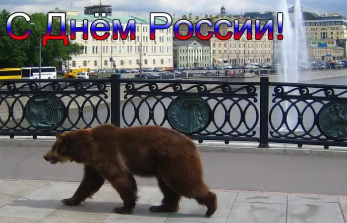 Открытки с Днем России (красивые и прикольные). Красивые картинки с Днем России