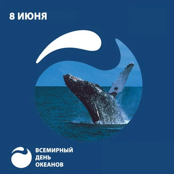 Картинки со Всемирным днем океанов (55 открыток). Красивые открытки