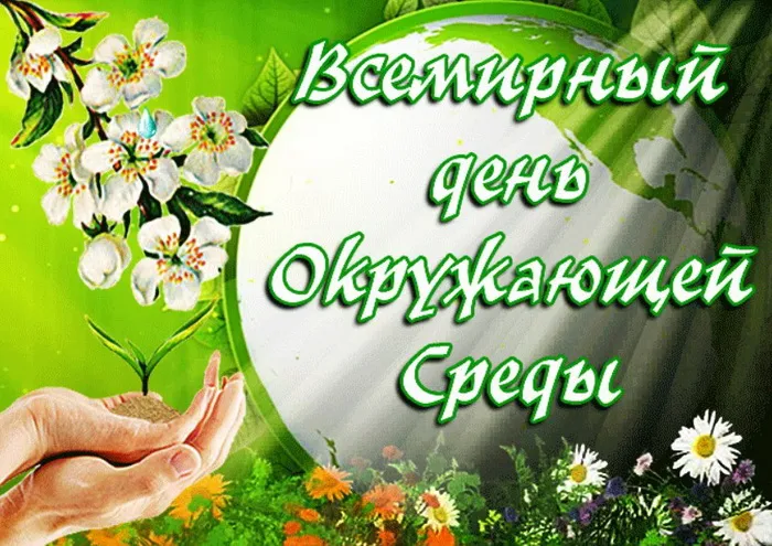 Картинки со Всемирным днем охраны окружающей среды (40 открыток). Картинки с надписями