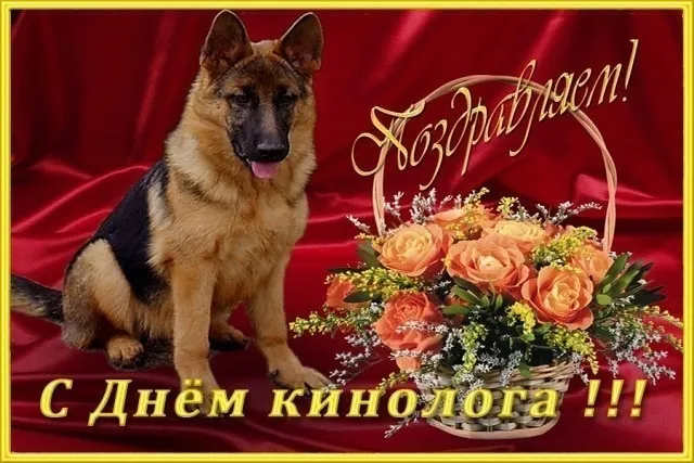 Картинки с Днем кинологических подразделений МВД России (80 открыток). Картинки с надписями с Днём кинолога