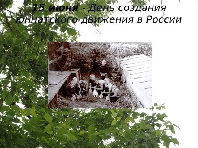 Картинки с Днем создания юннатского движения (20 открыток). Красивые картинки с надписями