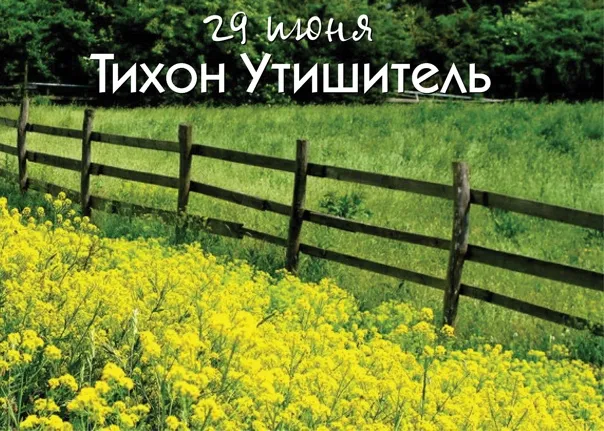 Картинки Тихон Тихий (19 открыток). Красивые картинки с надписями