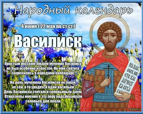 Картинки на День Василиска (12 открыток). Красивые открытки