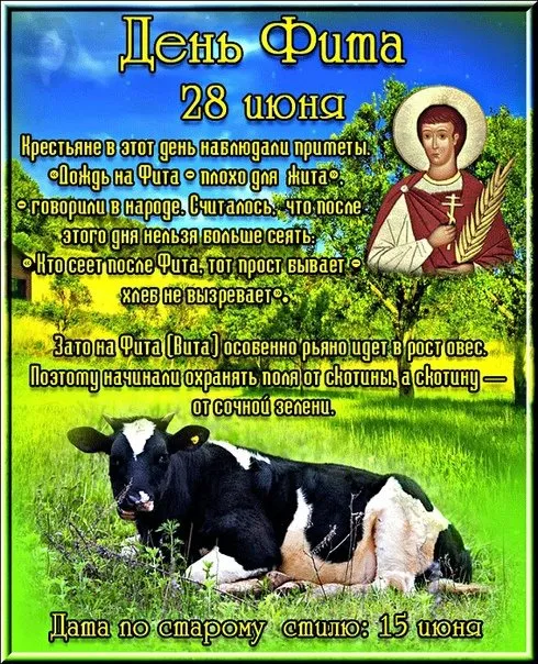 Картинки с Днем Фита (12 открыток). Красивые картинки с надписями