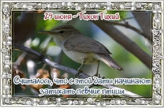 Картинки Тихон Тихий (19 открыток). Красивые картинки с надписями