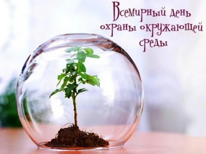 Картинки со Всемирным днем охраны окружающей среды (40 открыток). Красивые открытки