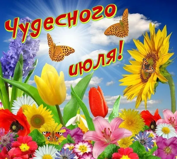 Картинки с первым днем июля (75 открыток). Картинки с надписями