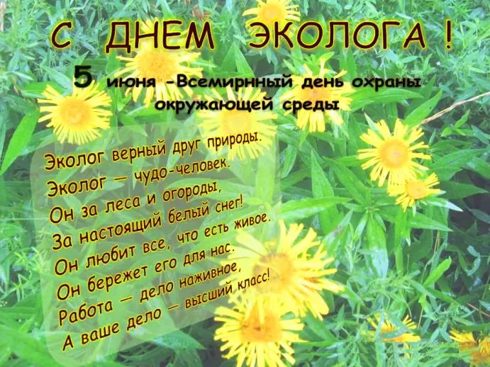 Картинки с Днем эколога (45 открыток). Картинки с надписями