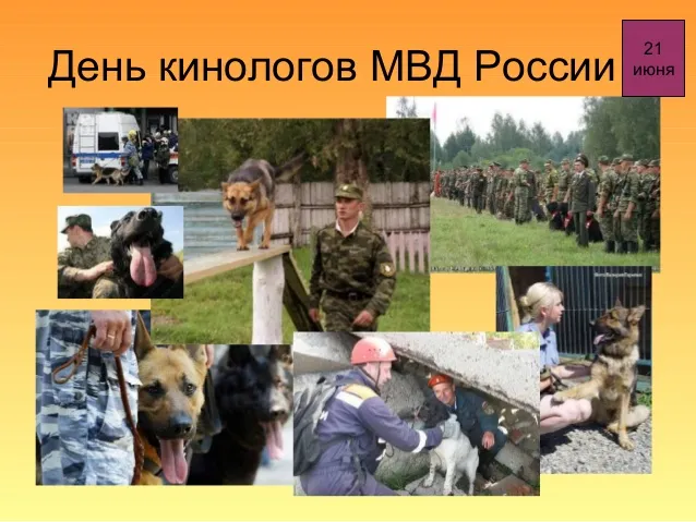 Картинки с Днем кинологических подразделений МВД России (80 открыток). Картинки с надписями с Днём кинолога