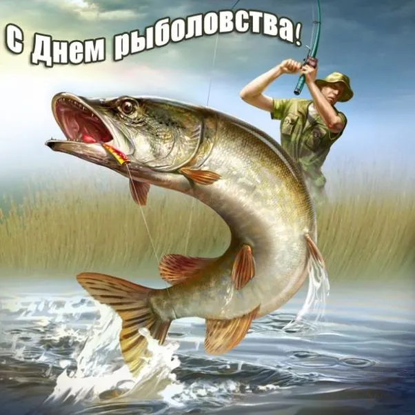 Картинки со Всемирным днем рыболовства (75 открыток). Красивые картинки с надписями