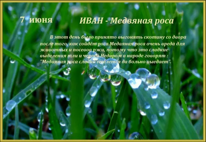 Картинки Иван – Медвяные росы (12 открыток). 