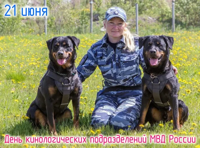 Картинки с Днем кинологических подразделений МВД России (80 открыток). Красивые открытки с Днем кинолога