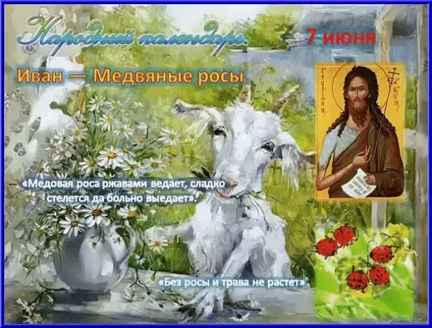 Картинки Иван – Медвяные росы (12 открыток). 