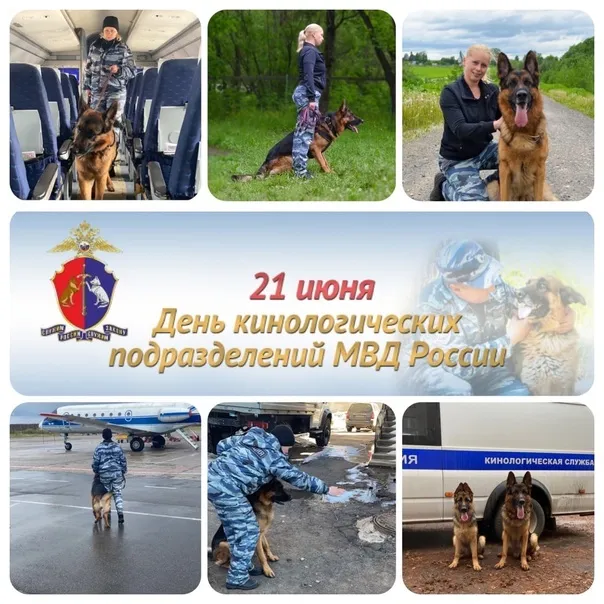 Картинки с Днем кинологических подразделений МВД России (80 открыток). Картинки с надписями с Днём кинолога