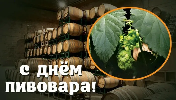Картинки с Днем пивовара (95 открыток). Красивые и прикольные картинки с надписями