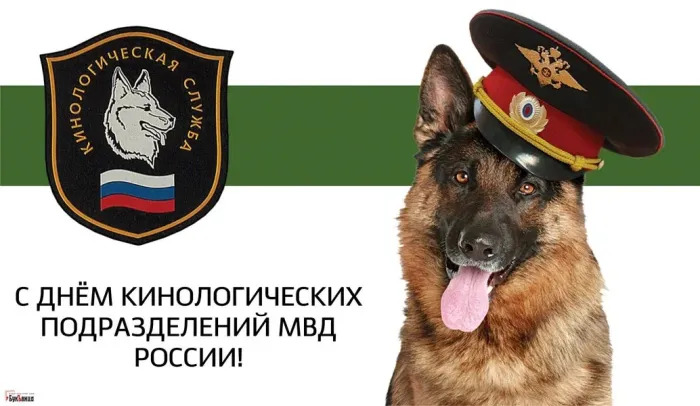 Картинки с Днем кинологических подразделений МВД России (80 открыток). Картинки с надписями с Днём кинолога