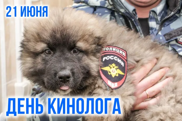 Картинки с Днем кинологических подразделений МВД России (80 открыток). Красивые открытки с Днем кинолога