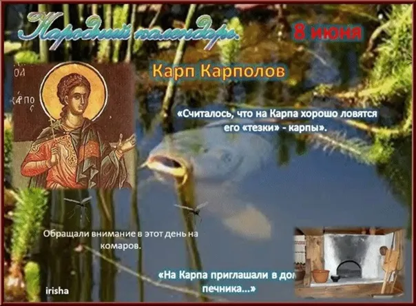 Картинки Карп Карполов (12 открыток). Картинки с надписями