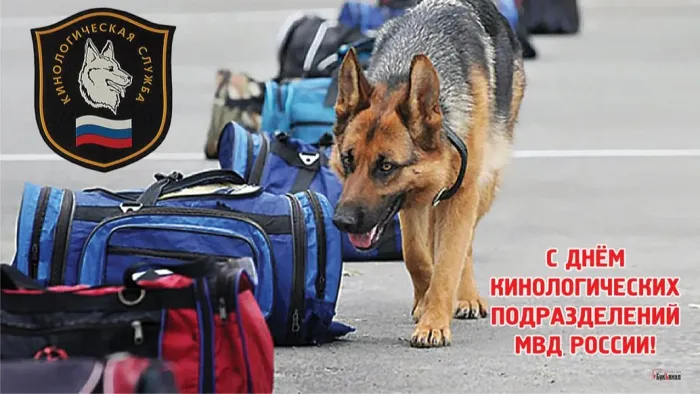 Картинки с Днем кинологических подразделений МВД России (80 открыток). Картинки с надписями с Днём кинолога